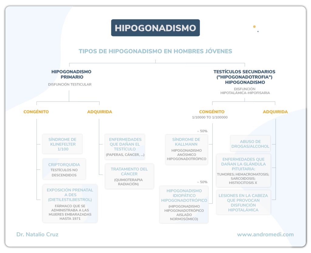 Infografia sobre los tipos de hipogonadismo