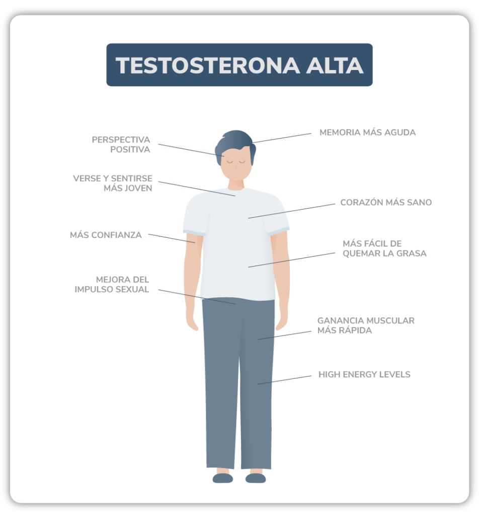 Infografia sobre los Signos de una testosterona alta (sana)